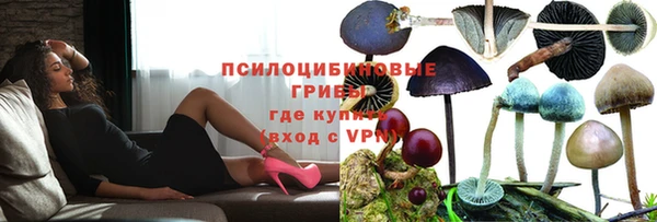 хмурый Алексеевка