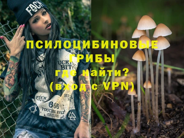 хмурый Алексеевка